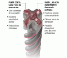 Brocas SDS-Plus +Pilot Imcoinsa